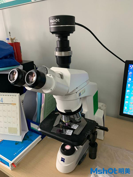 顯微鏡相機MS60-2